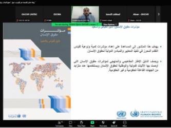 ورشة عمل إقليمية عبر الإنترنت حول مؤشرات حقوق الإنسان