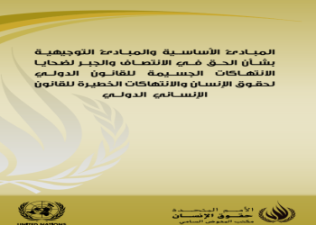 Basic Principles and Guidelines on the Right to Reparation for Victims ...