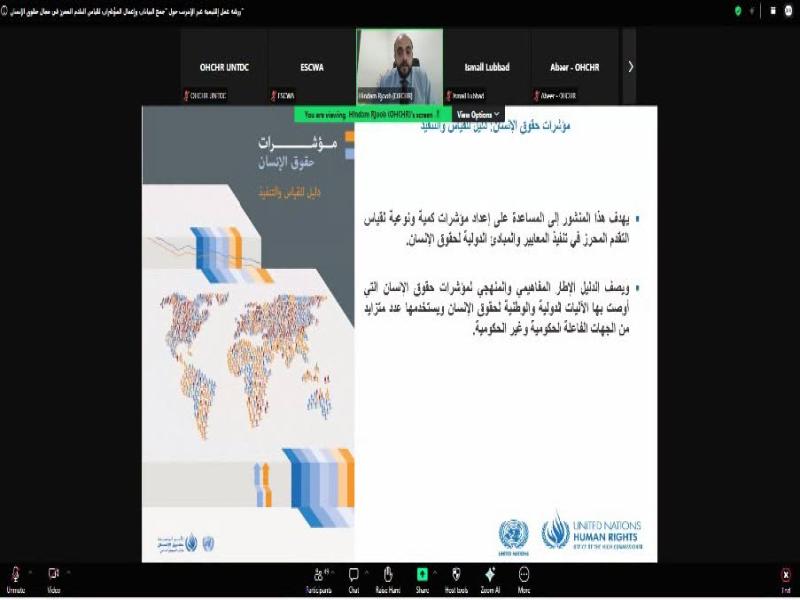 ورشة عمل إقليمية عبر الإنترنت حول مؤشرات حقوق الإنسان